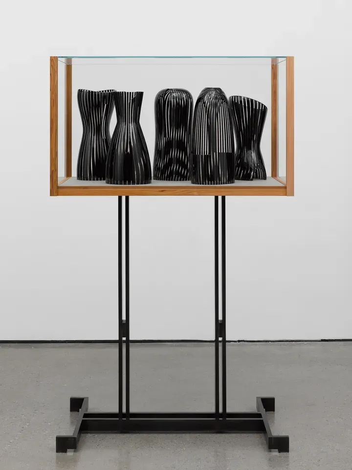 Josiah McElheny, The Altered Body (after Chalayan, McQueen and Man Ray)