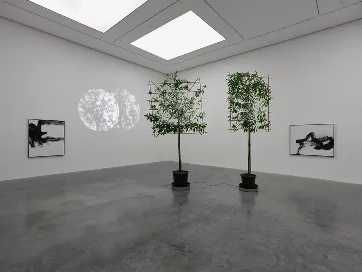 Cerith Wyn Evans, Still Life (In course of arrangement…) VI