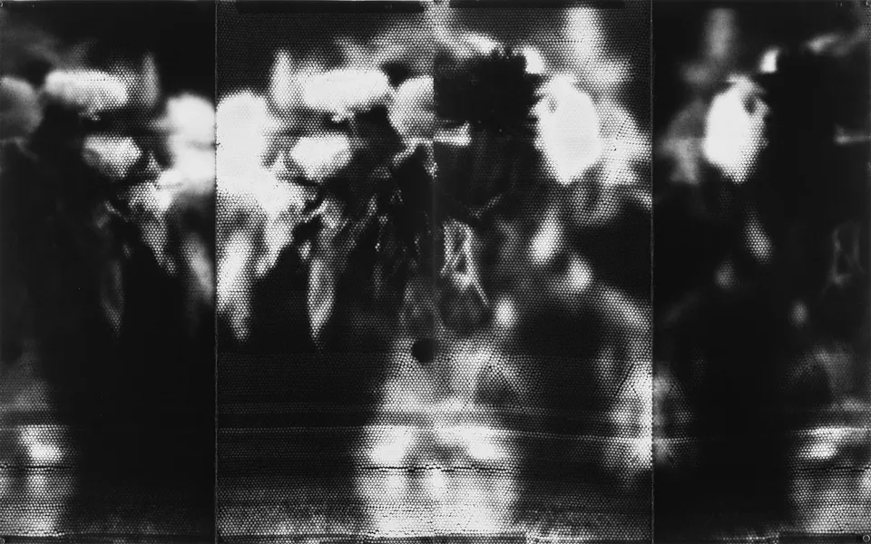 John Shen, Arrangement (Mantis & Chameleon)