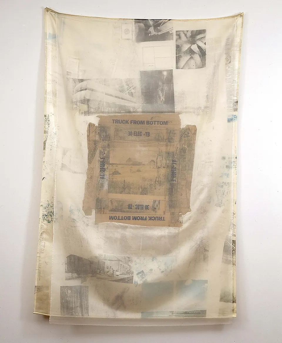 ROBERT RAUSCHENBERG, Cactus Custard (Hoarfrost)