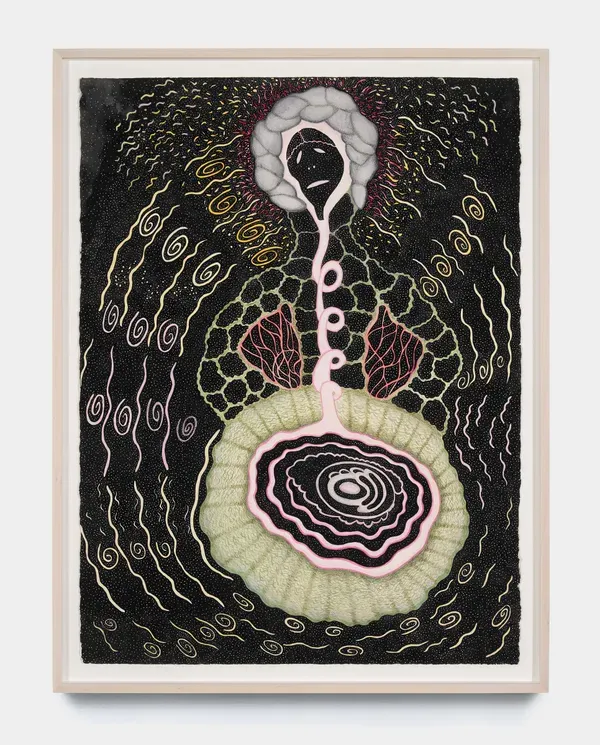Ann Leda Shapiro, Intestinal Distress