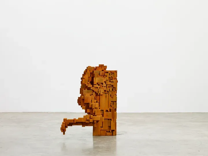 Antony Gormley, SEIZE