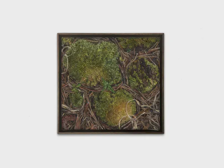 Ellen Altfest, Mountain Moss