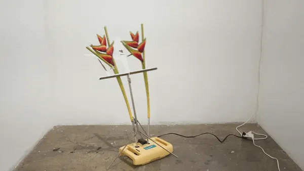 Rachel Youn, 10,000 hours