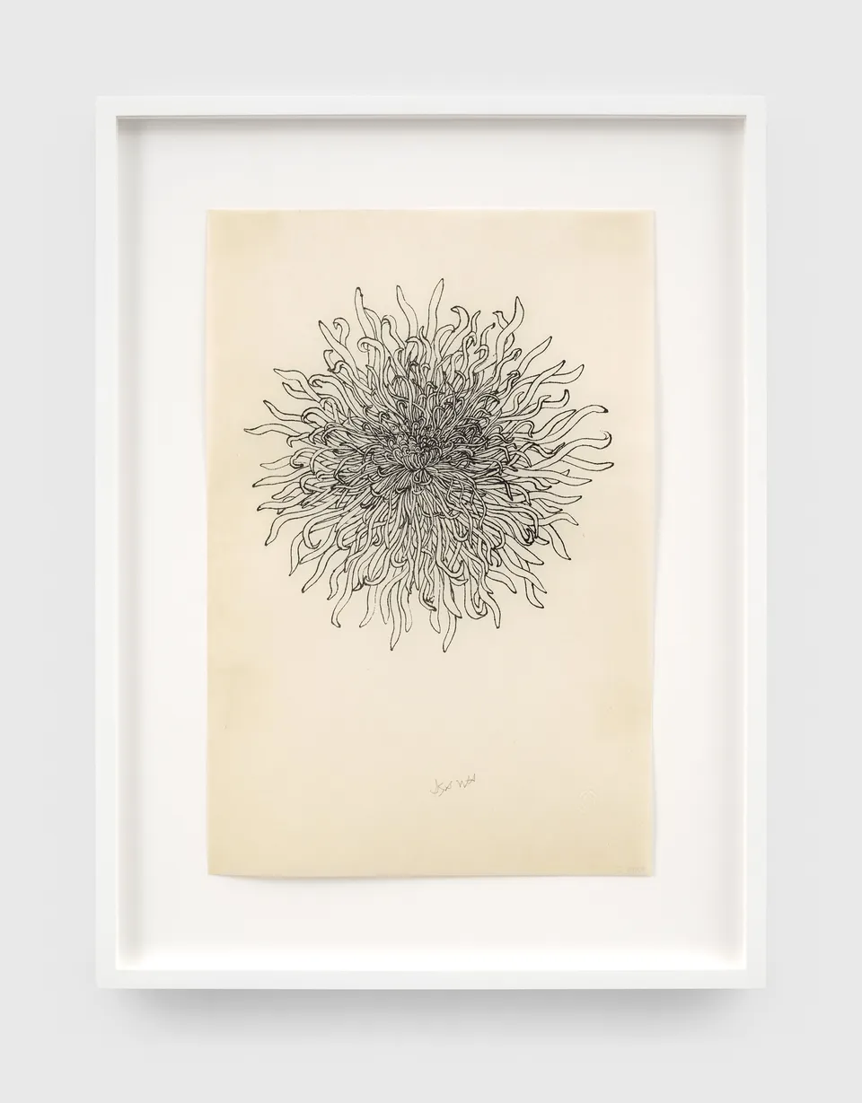 Ruth Asawa, Untitled  (P.022-I, Chrysanthemum)