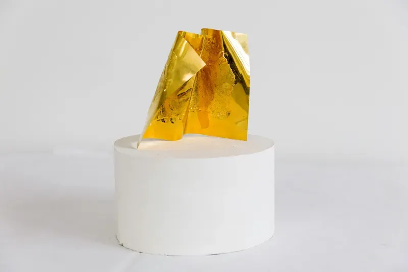 Giuseppe Penone, Spoglia d'oro [5]