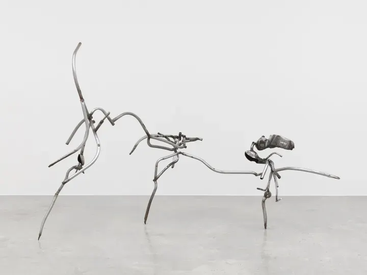 Richard Hunt, Linear Peregrination