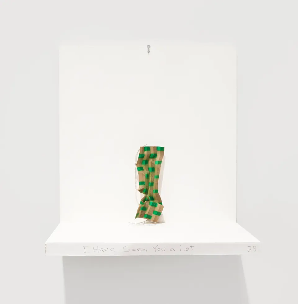 Richard Tuttle, I Have Seen You A Lot
