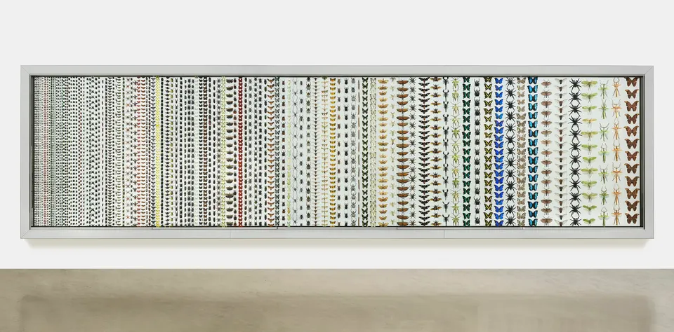 Damien Hirst, Jacob's Ladder