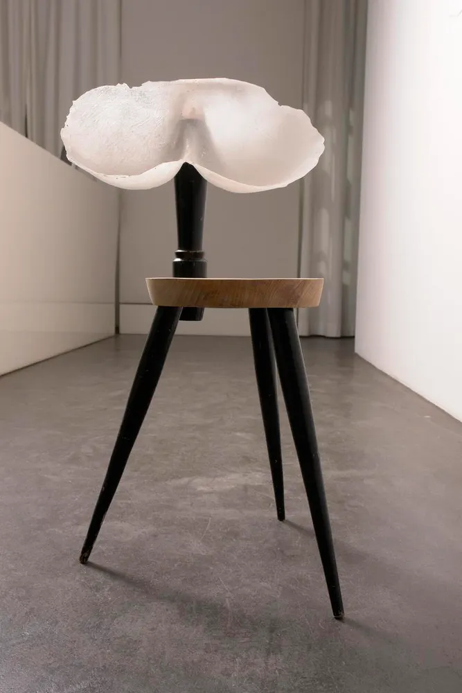 Nairy Baghramian, eule