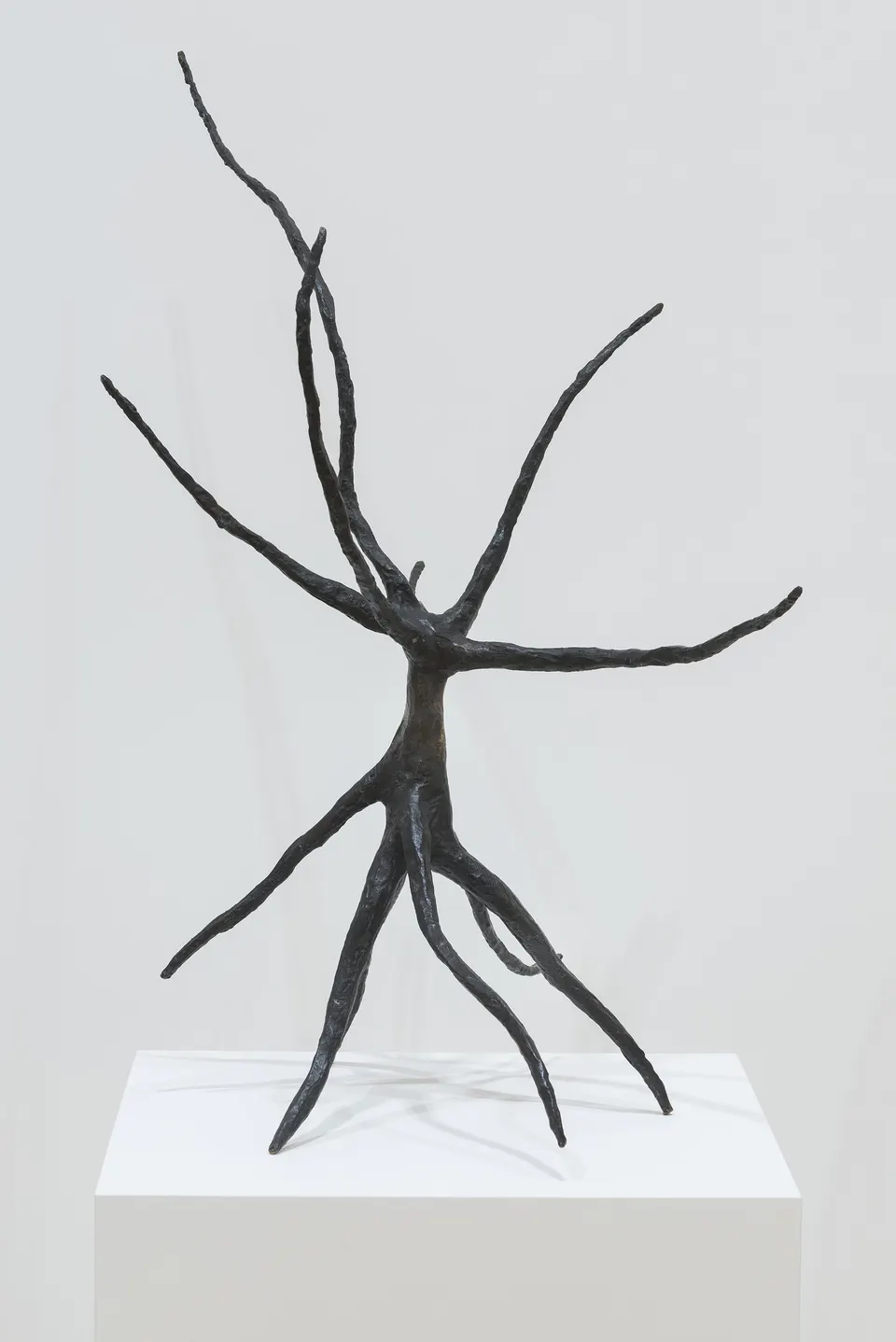 Alexander Calder, Snag