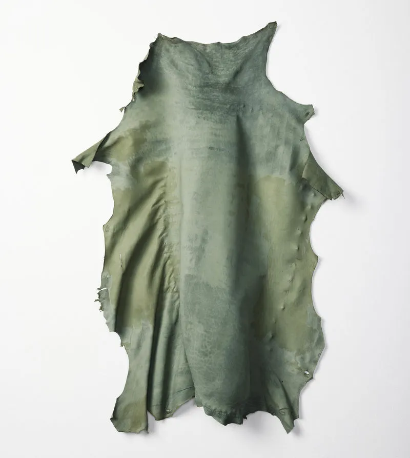 Edith Dekyndt, Pride, and Lust, and Envy, and Anger