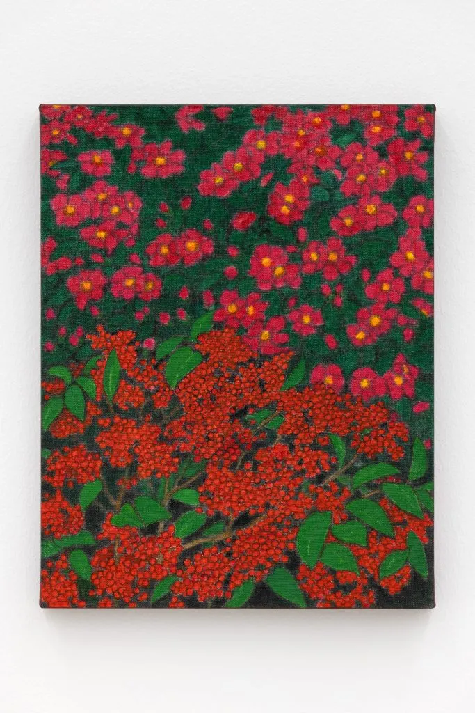 Kim Bohie, Towards