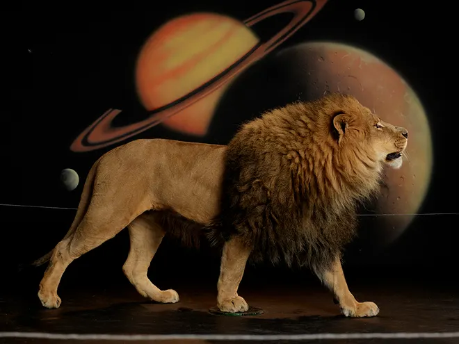 Awol Erizku, Lion (Body) 1