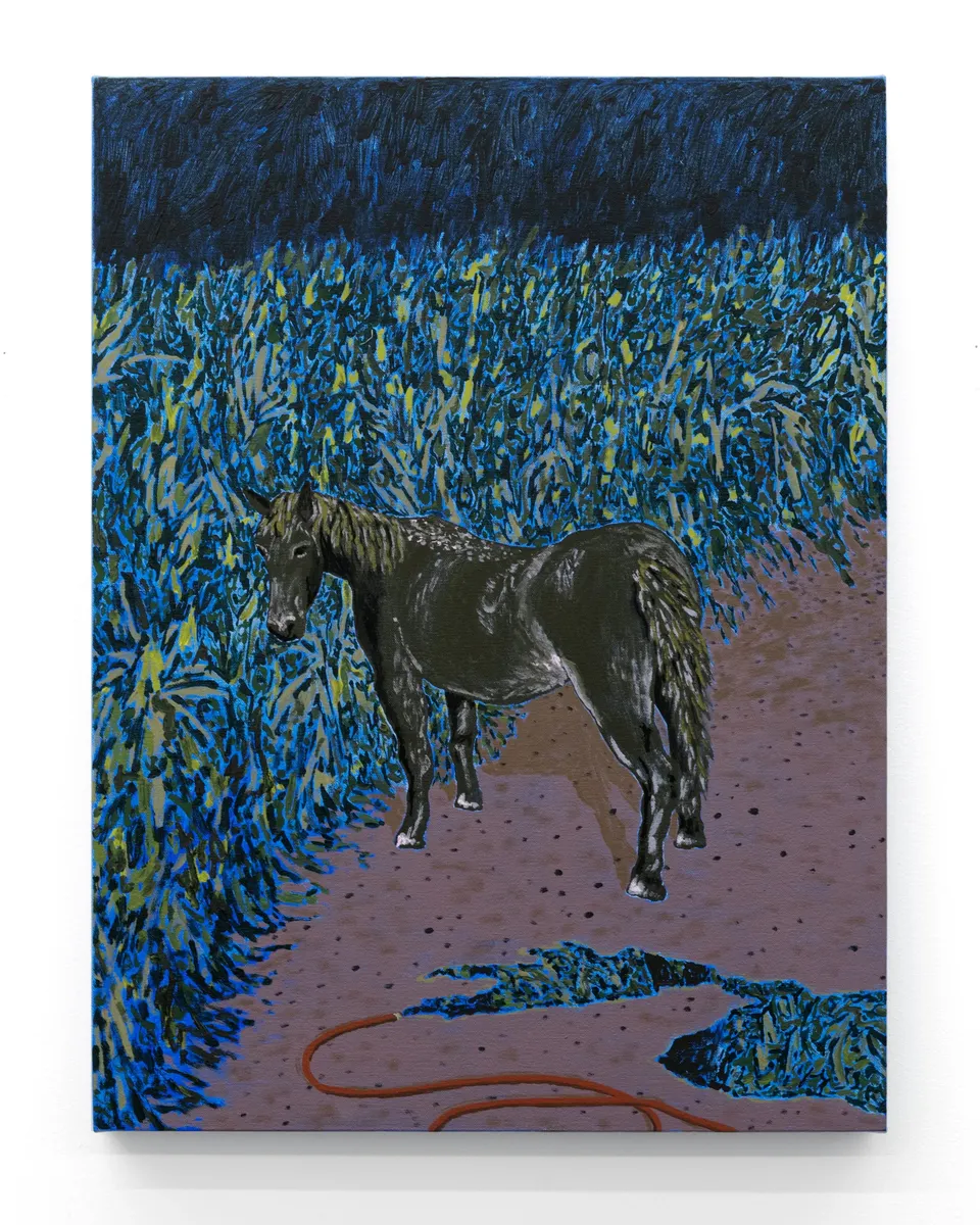 rocki swiderski, night mare (dream horse)