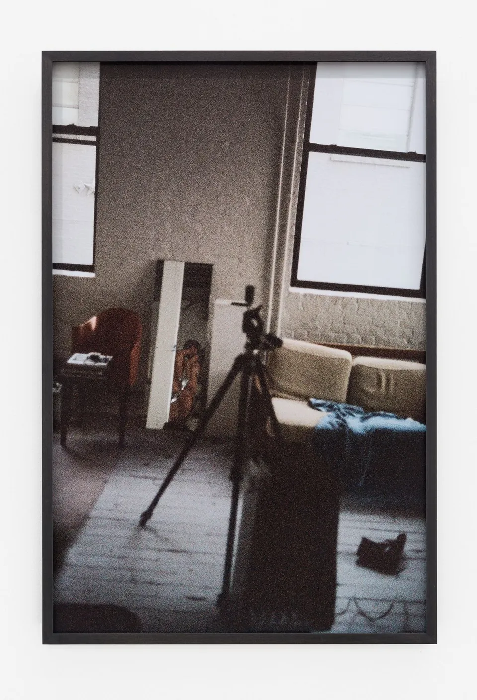 Talia Chetrit, studio sex