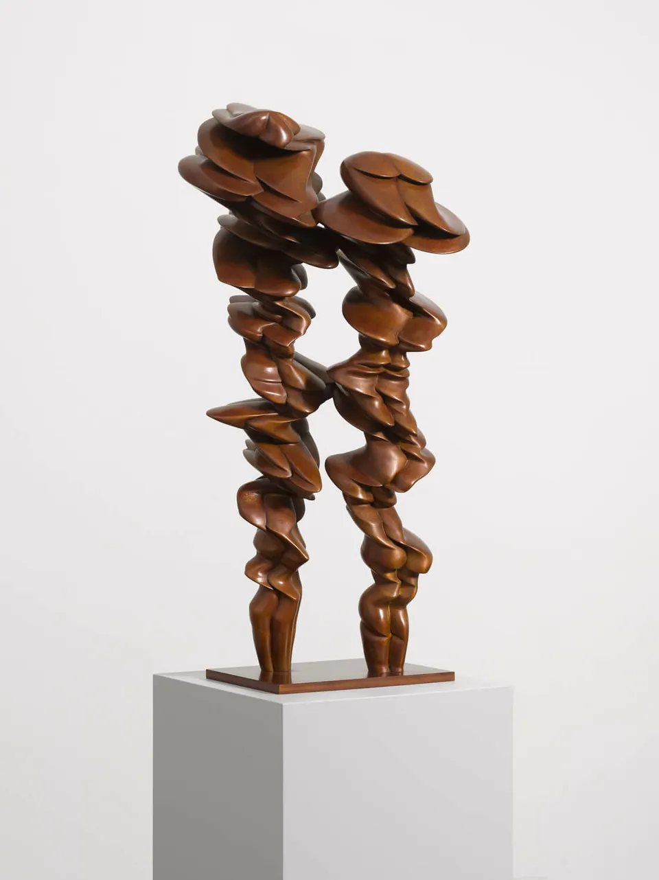 Tony Cragg, Pair