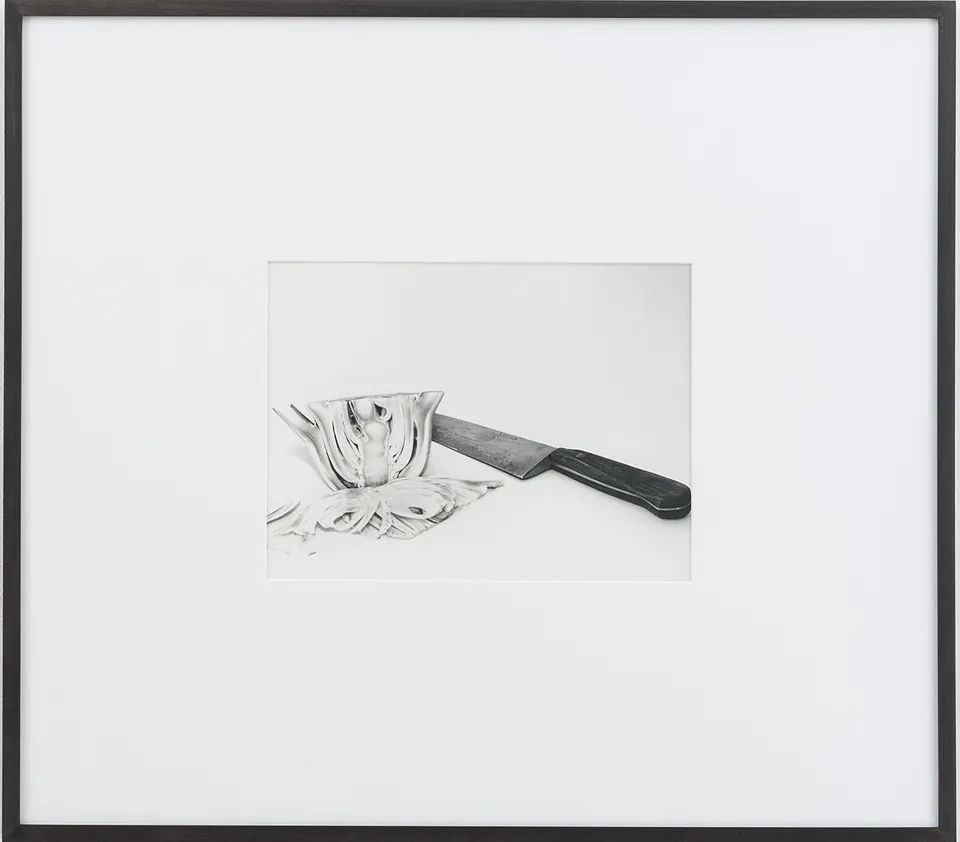 Talia Chetrit, fennel