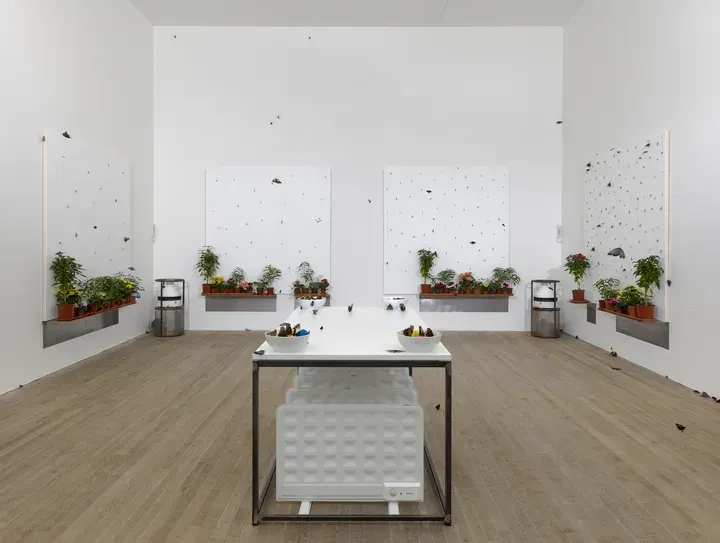 Damien Hirst, In & Out of Love (White Paintings & Live Butterflies)