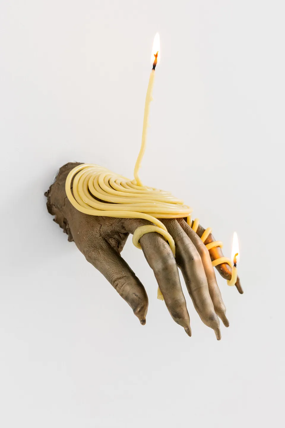 Kelly Akashi, Illuminated Life Forms