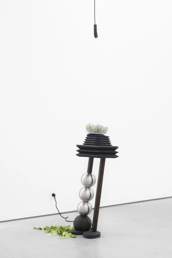 Meriem Bennani, SALAD SHAKE