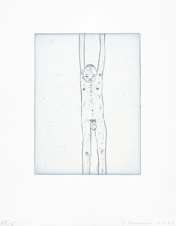 David Austen, Diver