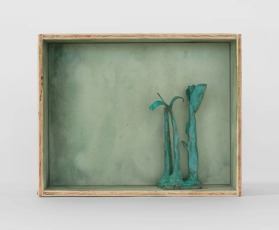 Emma Webster, Saplings