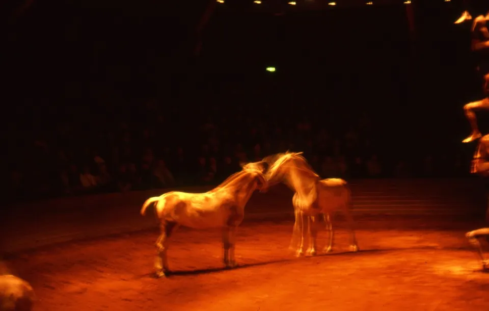 Nan Goldin, Horse Circus Paris