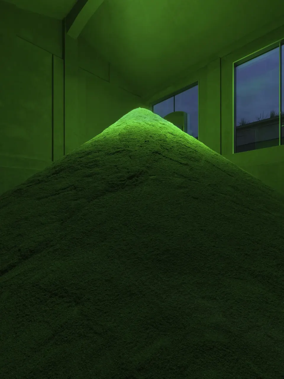Pamela Rosenkranz, Infection