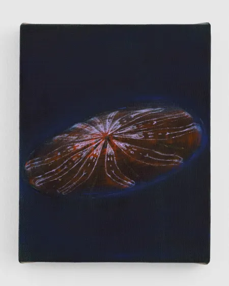 Amorelle Jacox, Whir