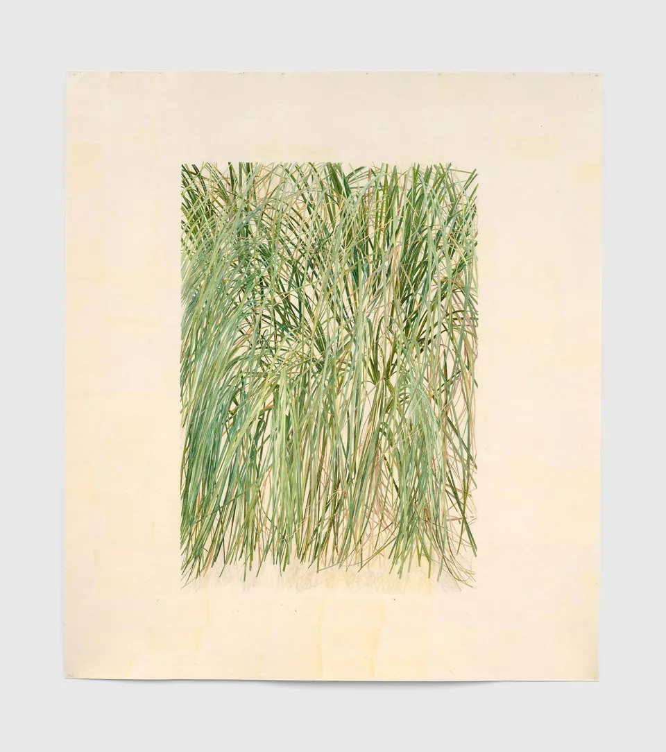 Toba Khedoori, Untitled