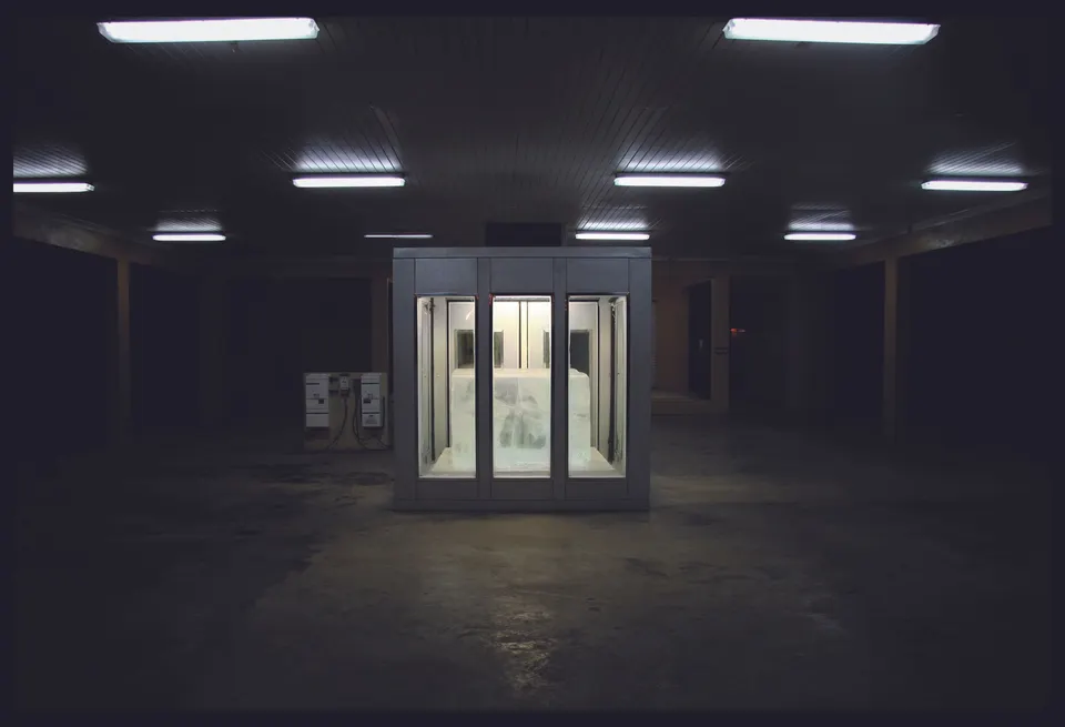 Tavares Strachan, 'The Distance Between What We Have and What We Want': Elevator for the Reversal of Up and Down