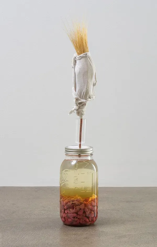 Candice Lin, Recipe for Spontaneous Generation: Baby Mice