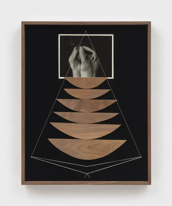 Sheree Hovsepian, Stranger On Display