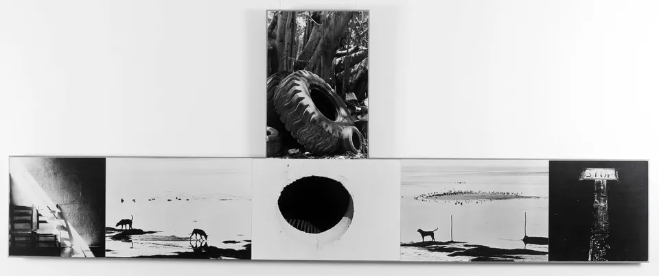 ROBERT RAUSCHENBERG, Photem Series I #7