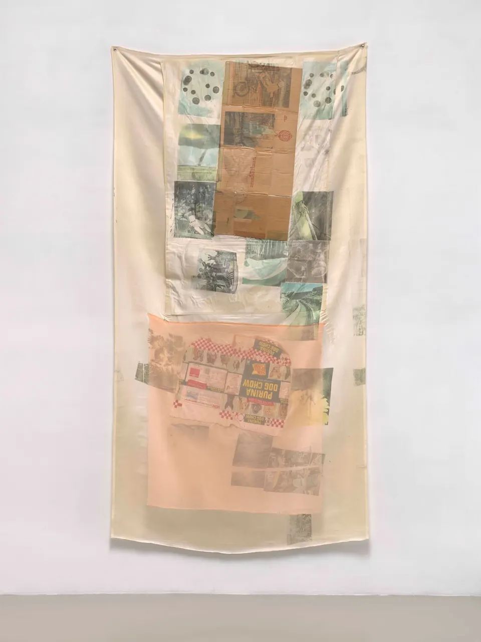 ROBERT RAUSCHENBERG, Groundings (Hoarfrost)