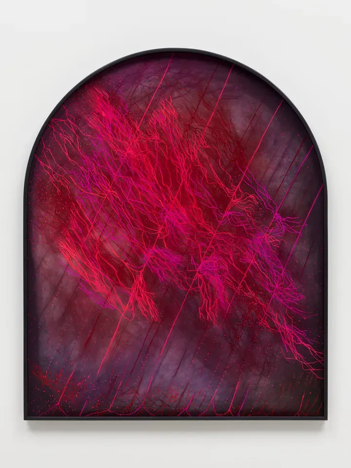 MARGUERITE HUMEAU, Noctilumen: the radiance of thin roots lit by microbial films, fragile strands glowing in absolute