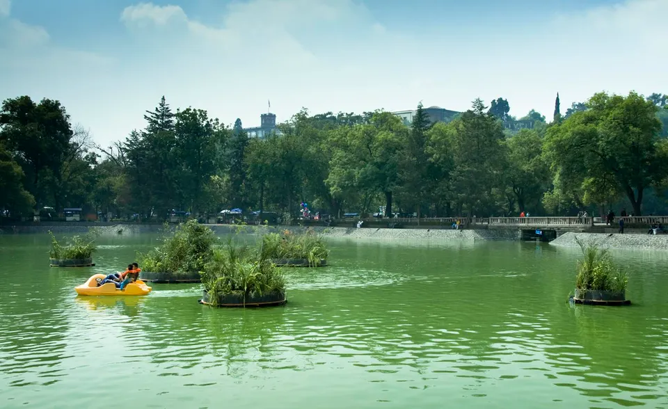 Sofía Táboas, cinco jardines flotantes para cinco piedras