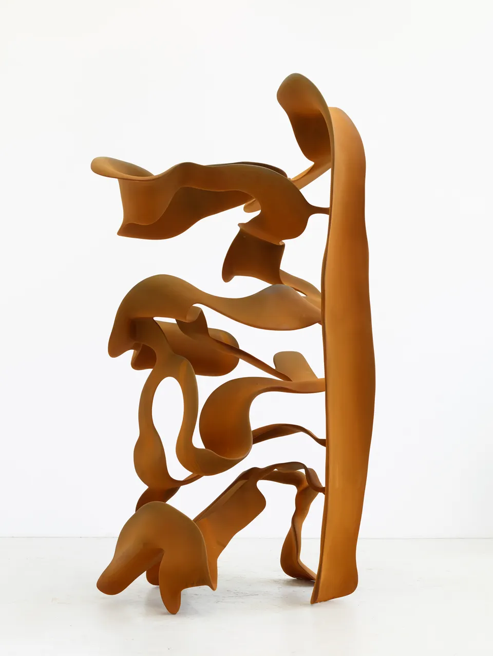 Tony Cragg, Path