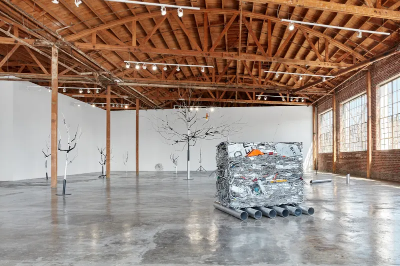 Josh Callaghan, Family Tree, installation view, Night Gallery