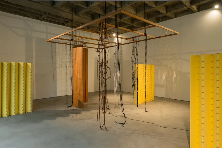 Leonor Antunes, raumplan