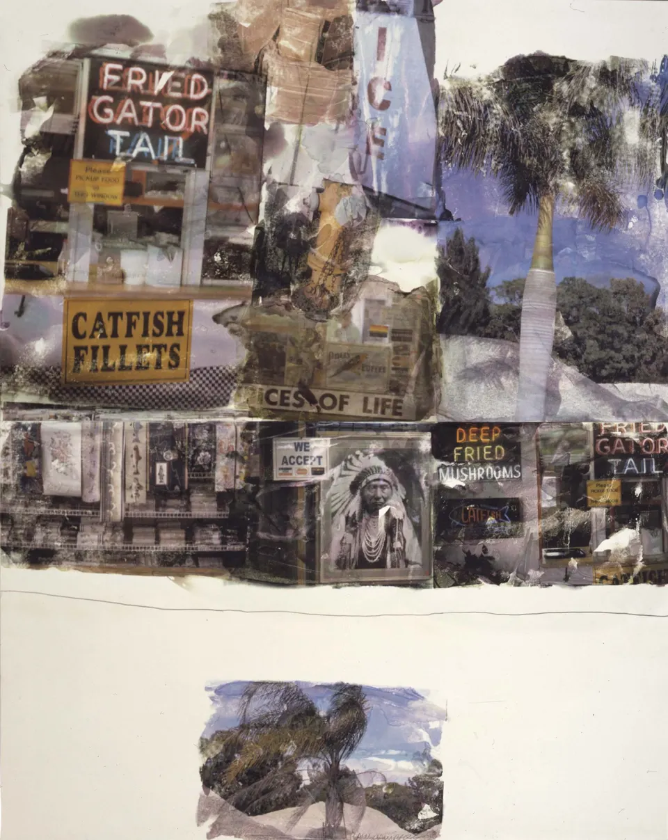 ROBERT RAUSCHENBERG, Catfish Tales [Anagram (A Pun)]