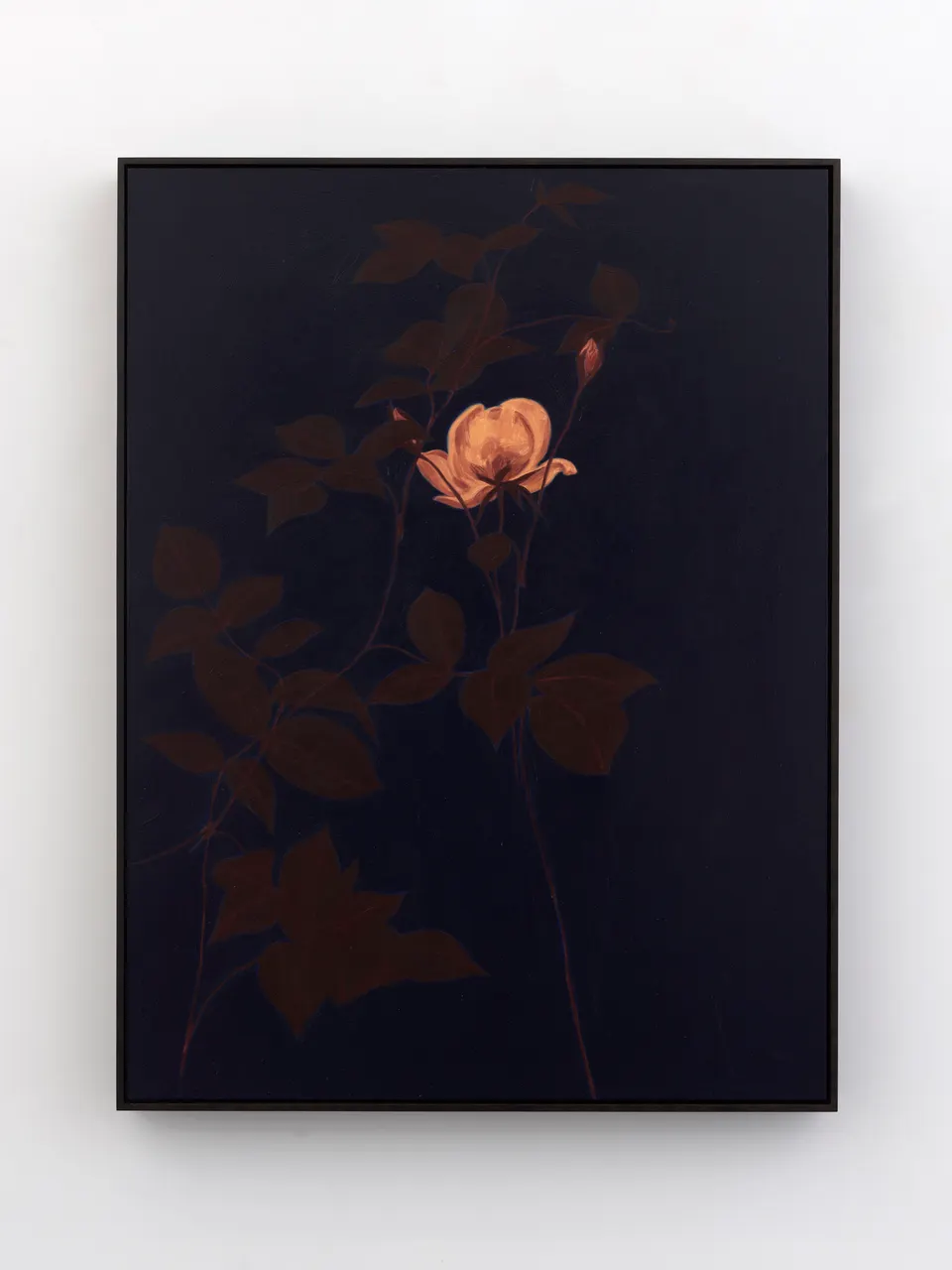 Alexandria Tarver, nights, 91
