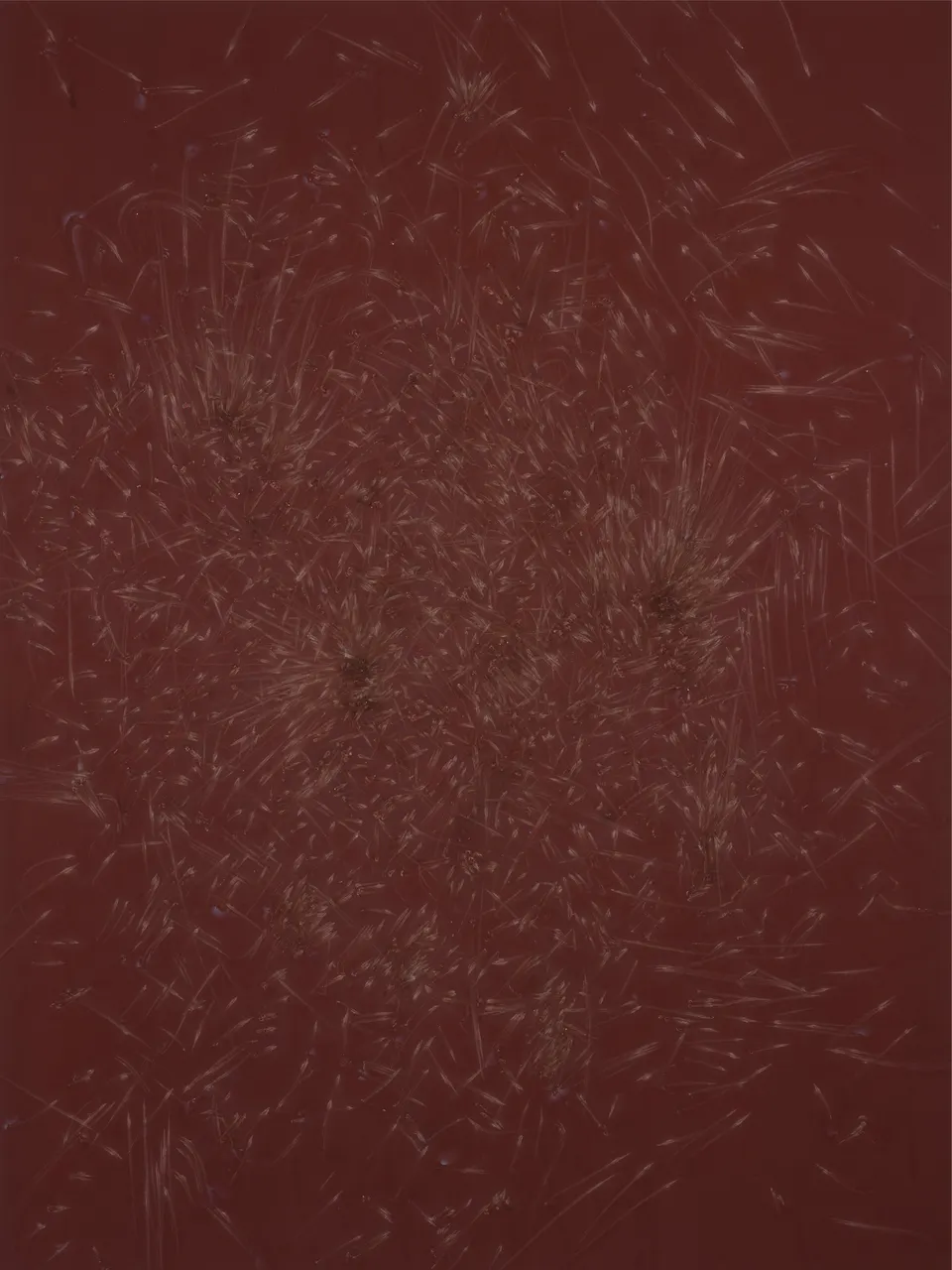 Thomas Wachholz, MONOCHROME A (Reibfläche)