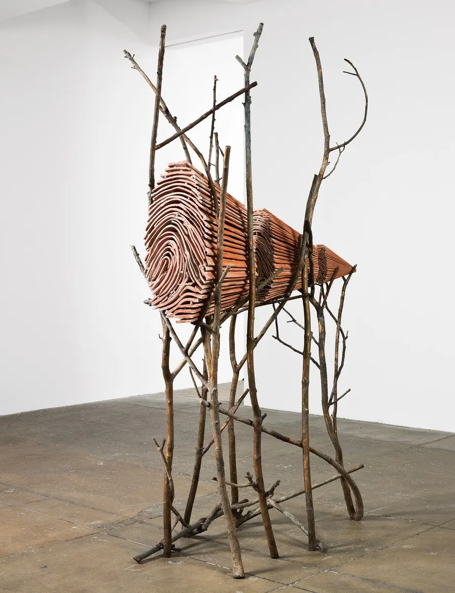 Giuseppe Penone, Giuseppe Penone Ombra di terra (Earth Shadow)