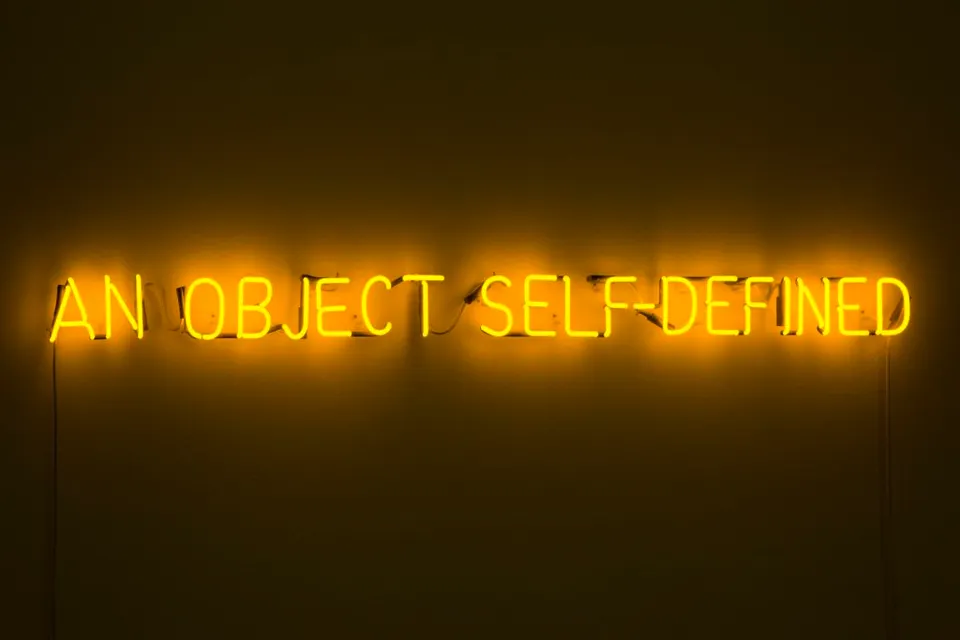 Joseph Kosuth, Self-defined object