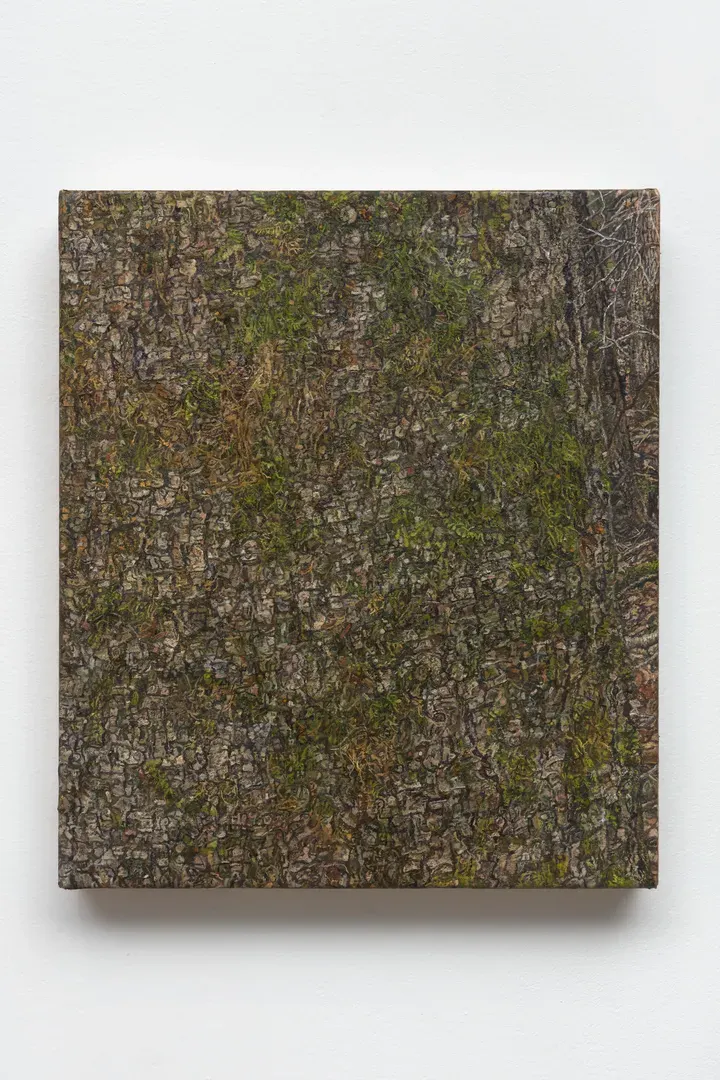 Ellen Altfest, Trees