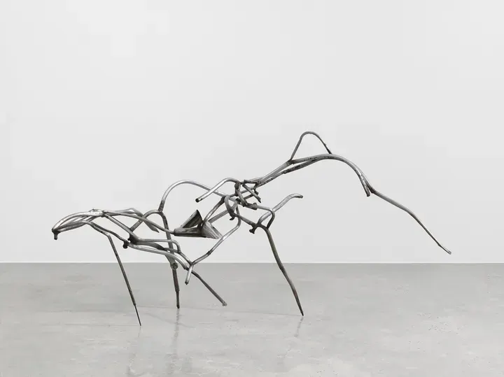 Richard Hunt, Linear Sequence