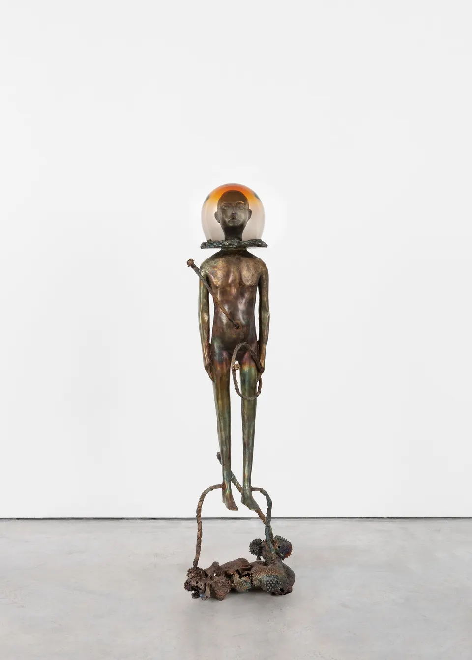 Jean-Marie Appriou, Algae x astronaut