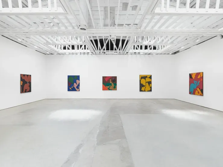 Herman Cherry, "A Different Kind of Abstraction," Installation View